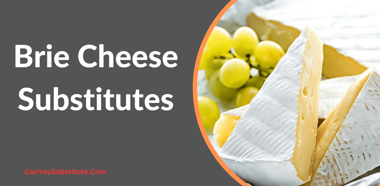 Brie Cheese Substitutes to Use Best in Cooking