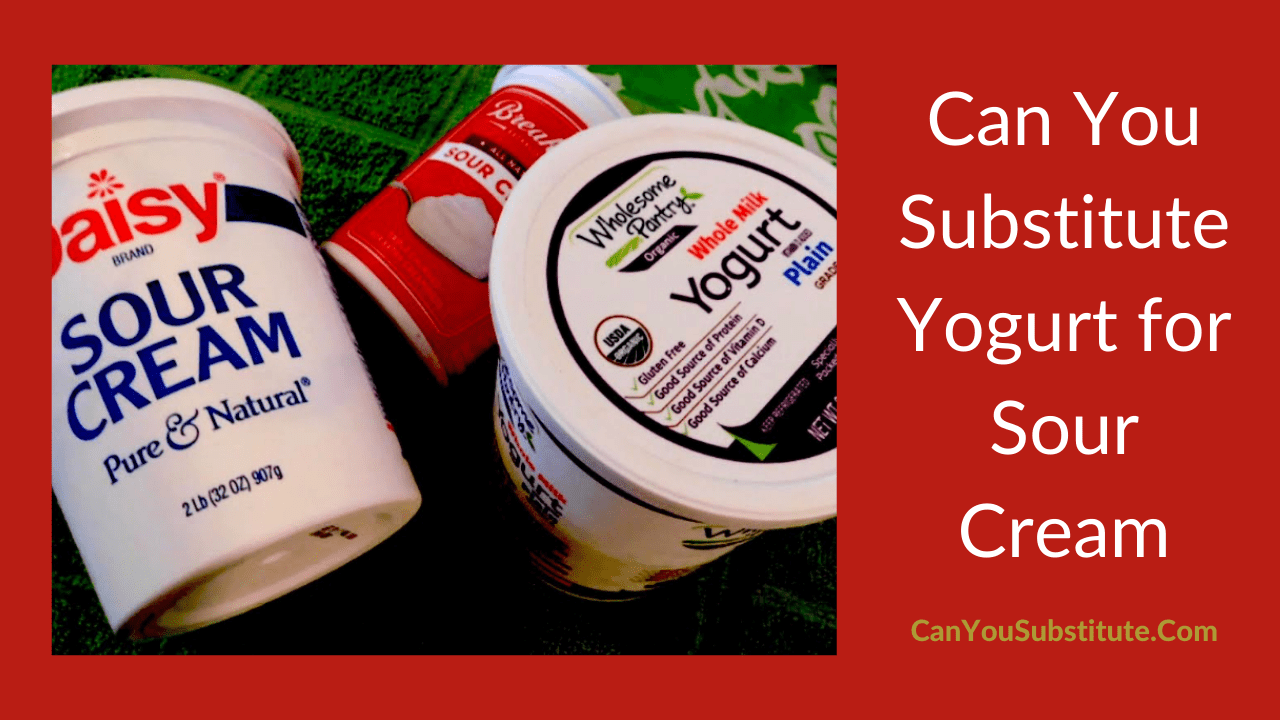 Can You Substitute Yogurt for Sour Cream