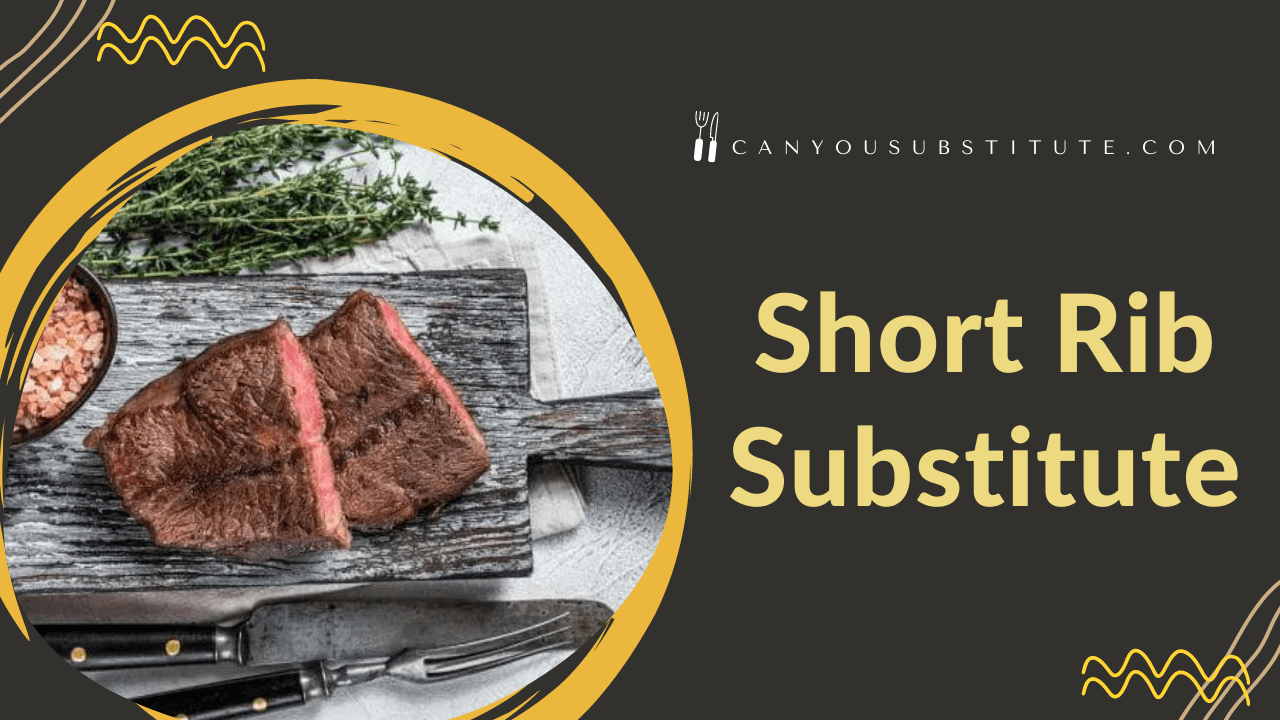 Short_Rib_Substitute
